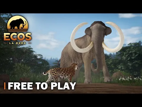 Video Guides